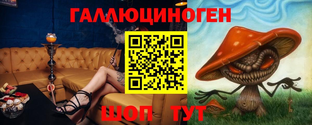 Галлюциногенные грибы Psilocybine cubensis Урус-Мартан